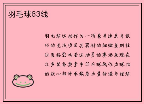 羽毛球63线
